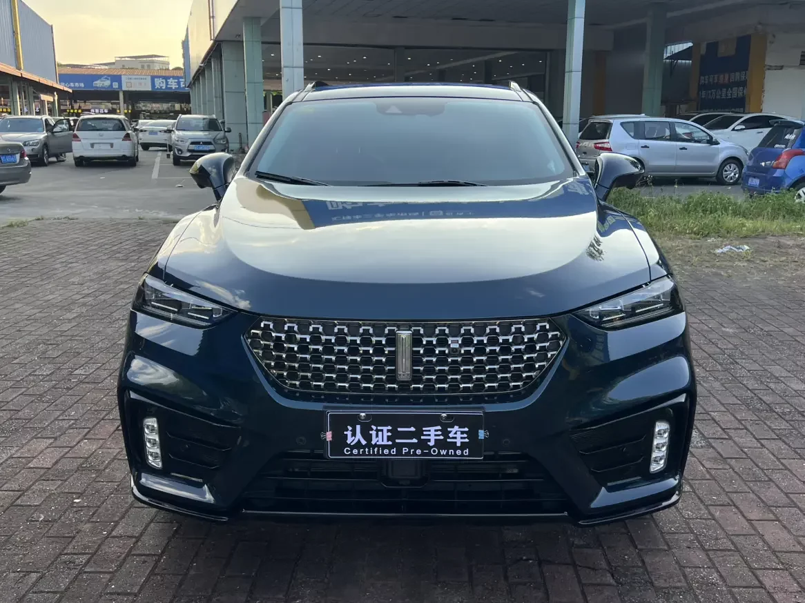 Wey Wei brand VV7