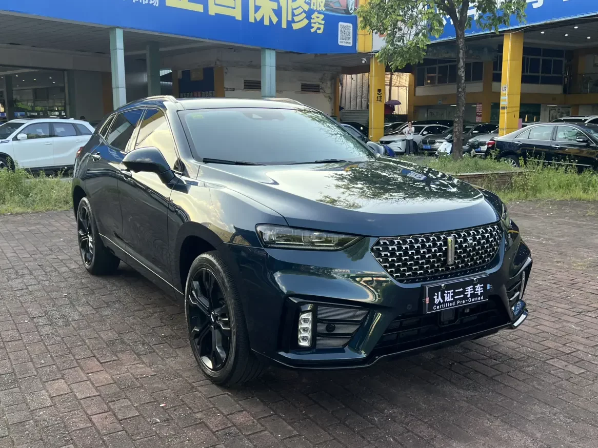 Wey Wei brand VV7