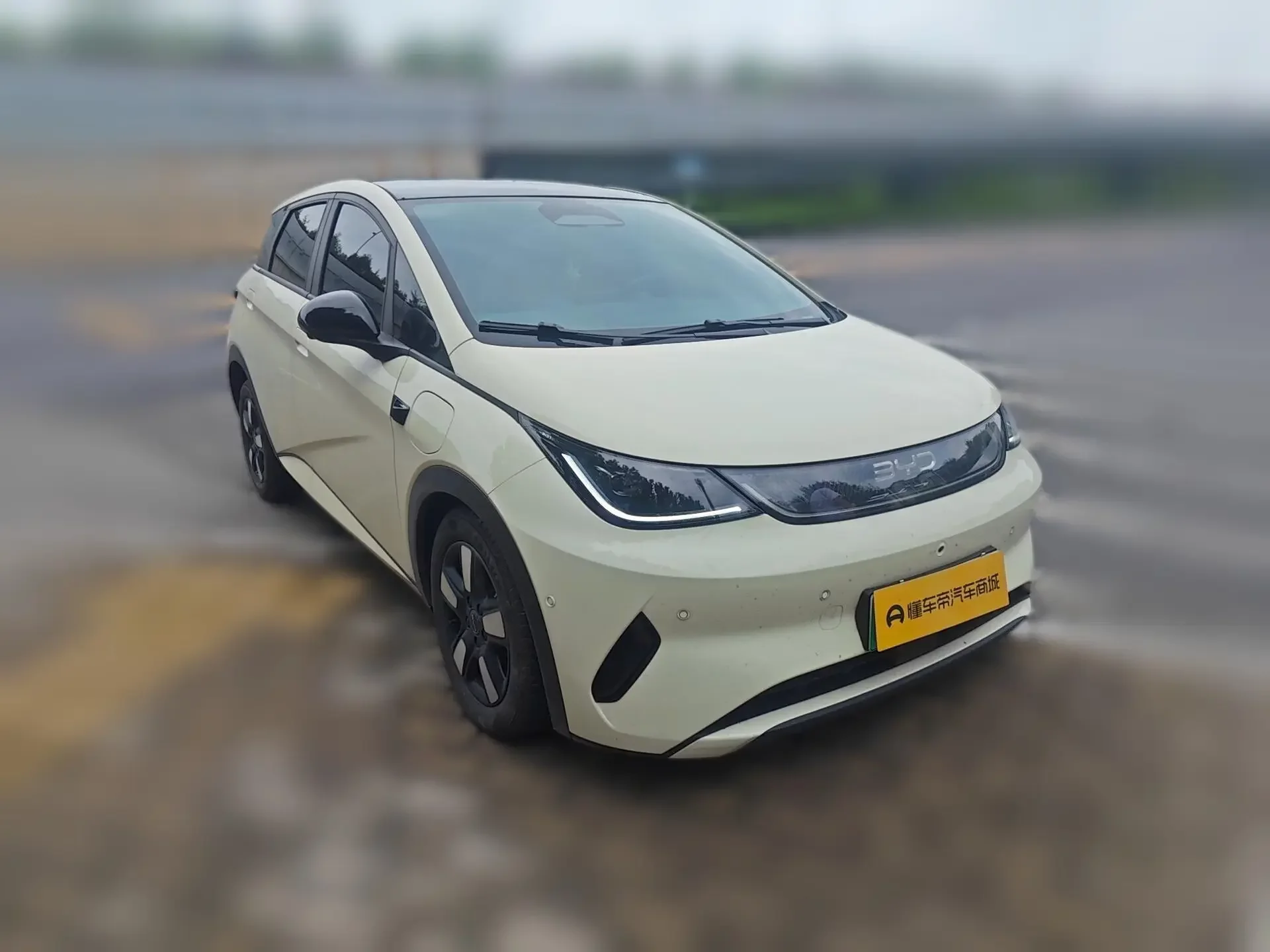 BYD dolphin