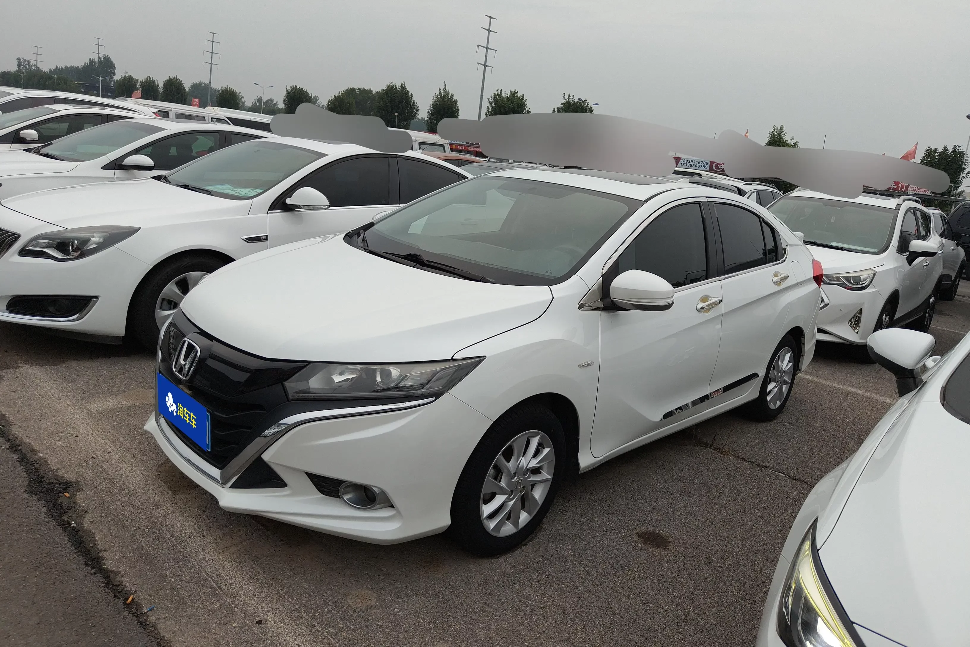 Honda Gienia