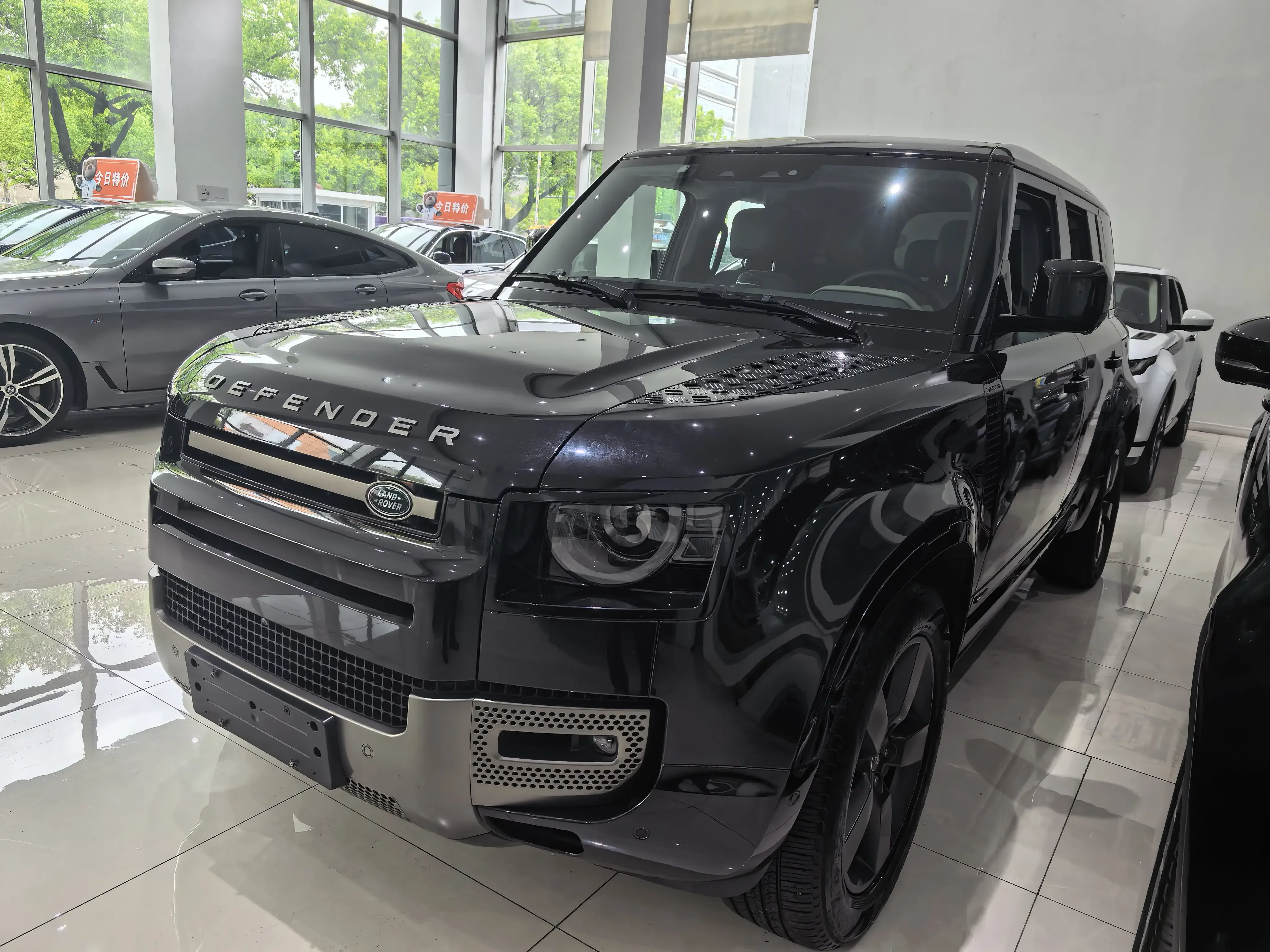 Land Rover guard