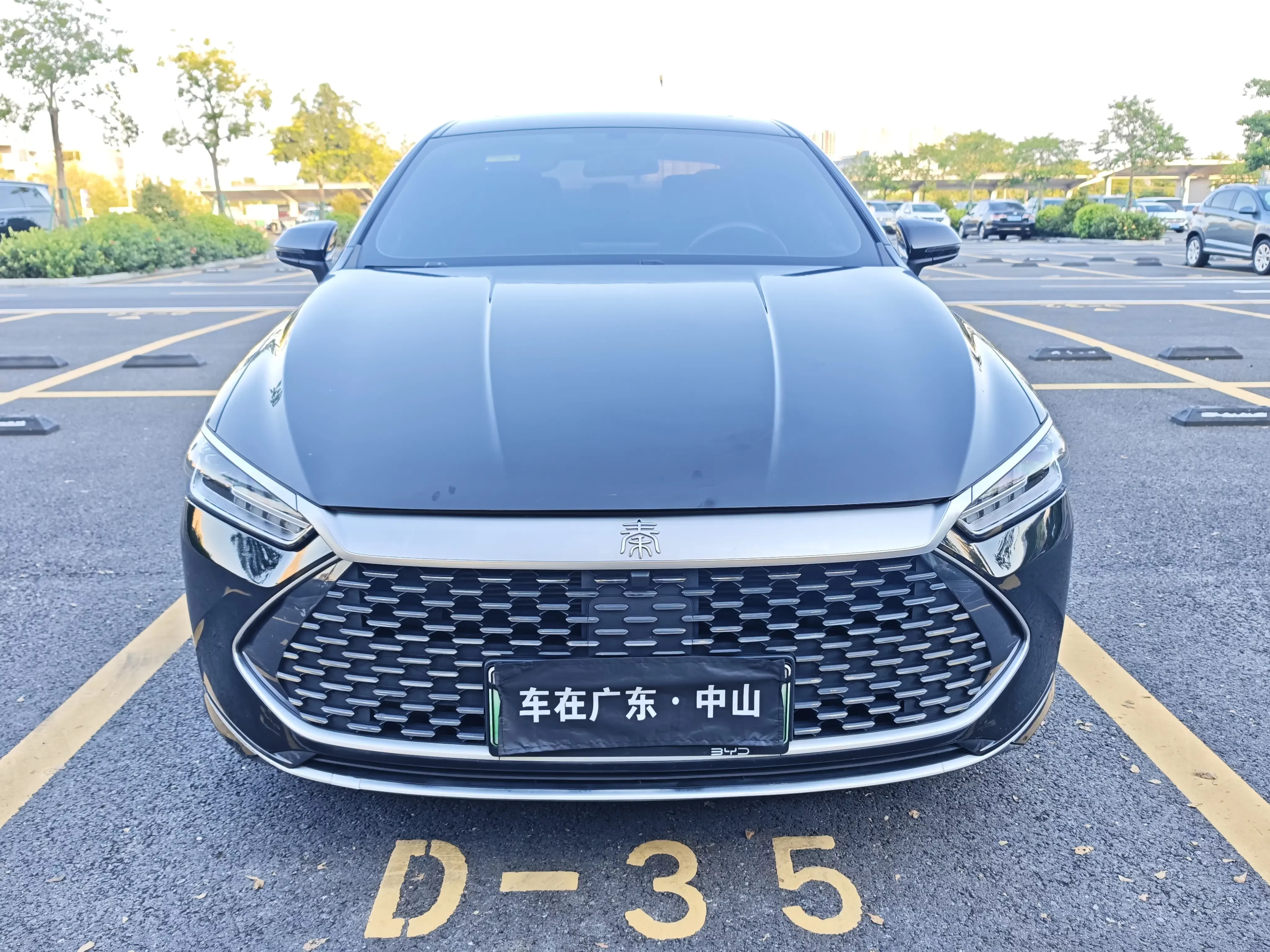 BYD Qin PLUS DM