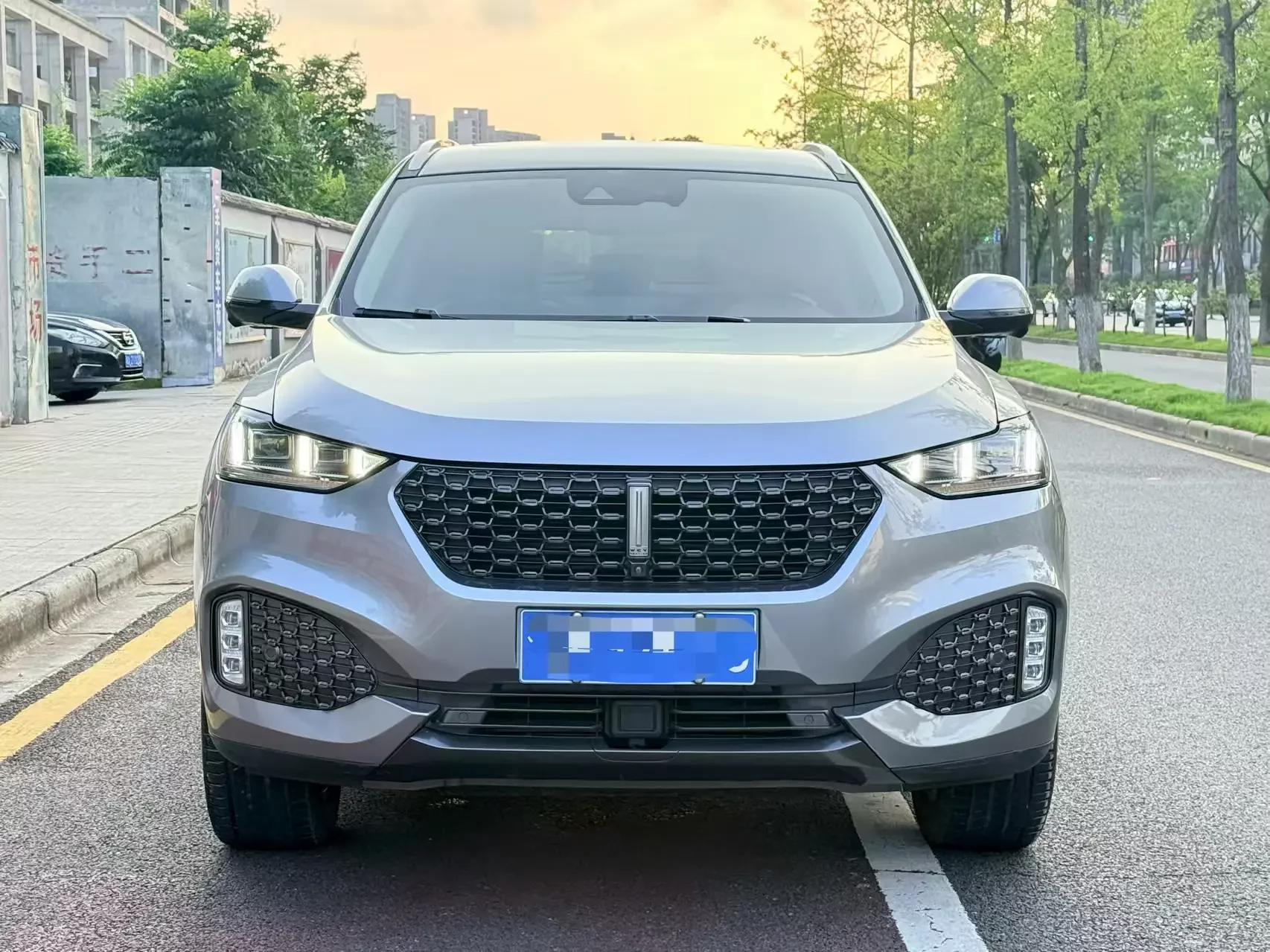 Wey Wei brand VV6