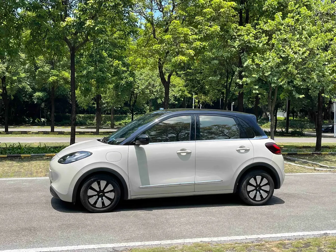 Wuling Bingo