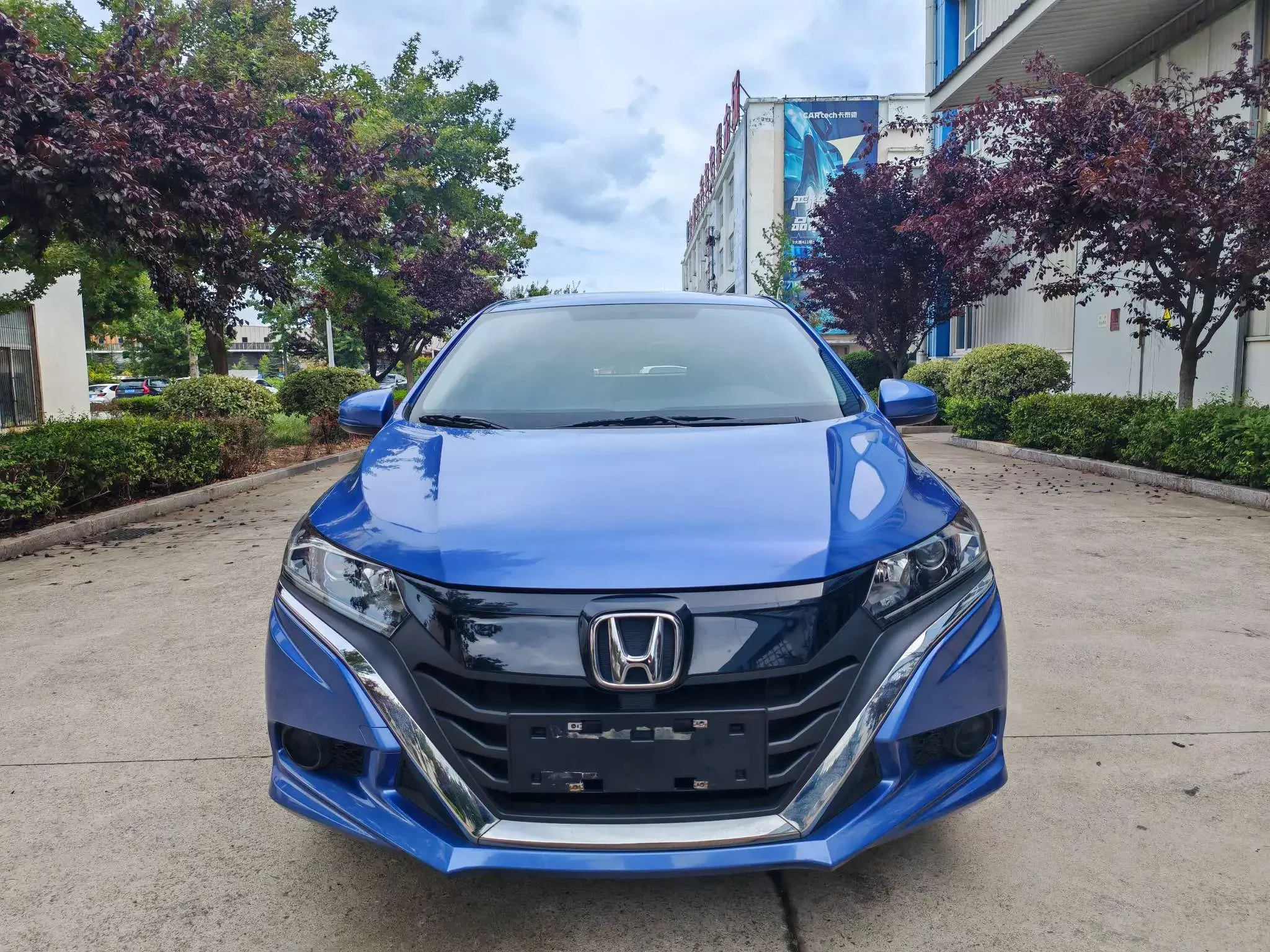 Honda Gienia