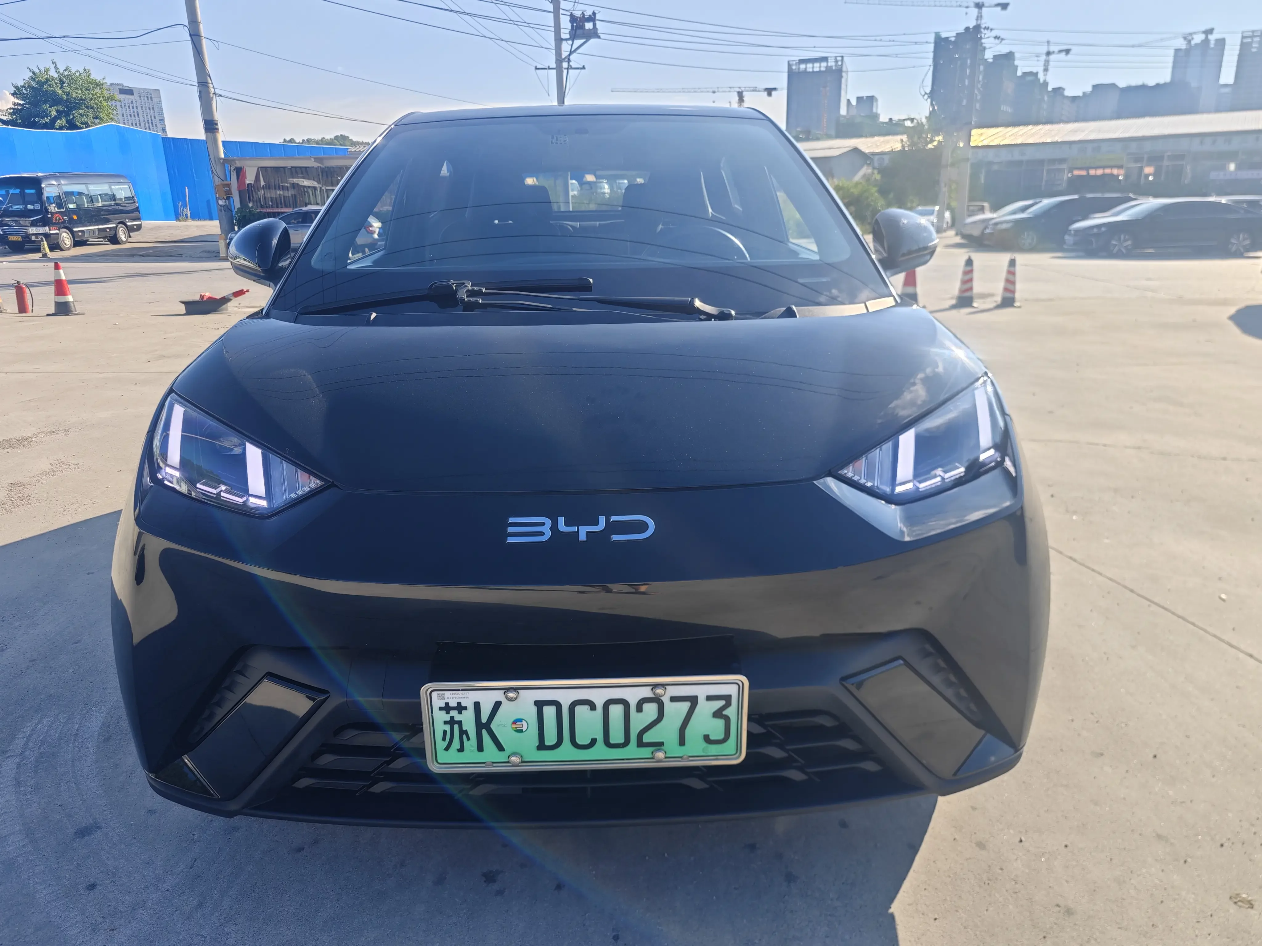 BYD seagull
