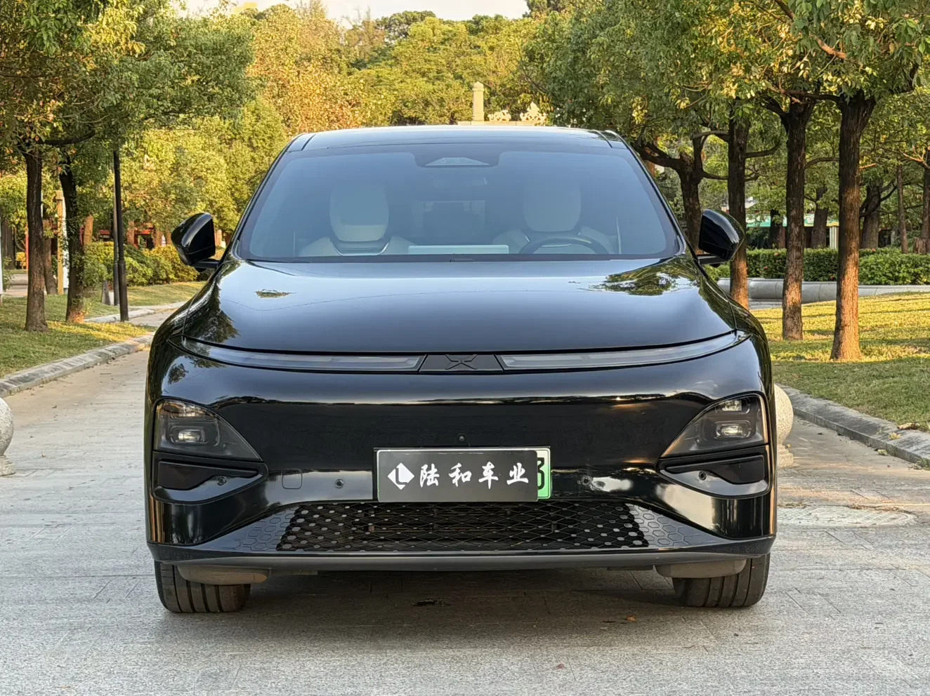 Xpeng G6