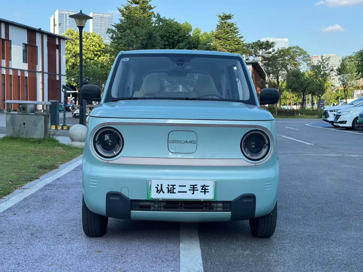 Geely panda