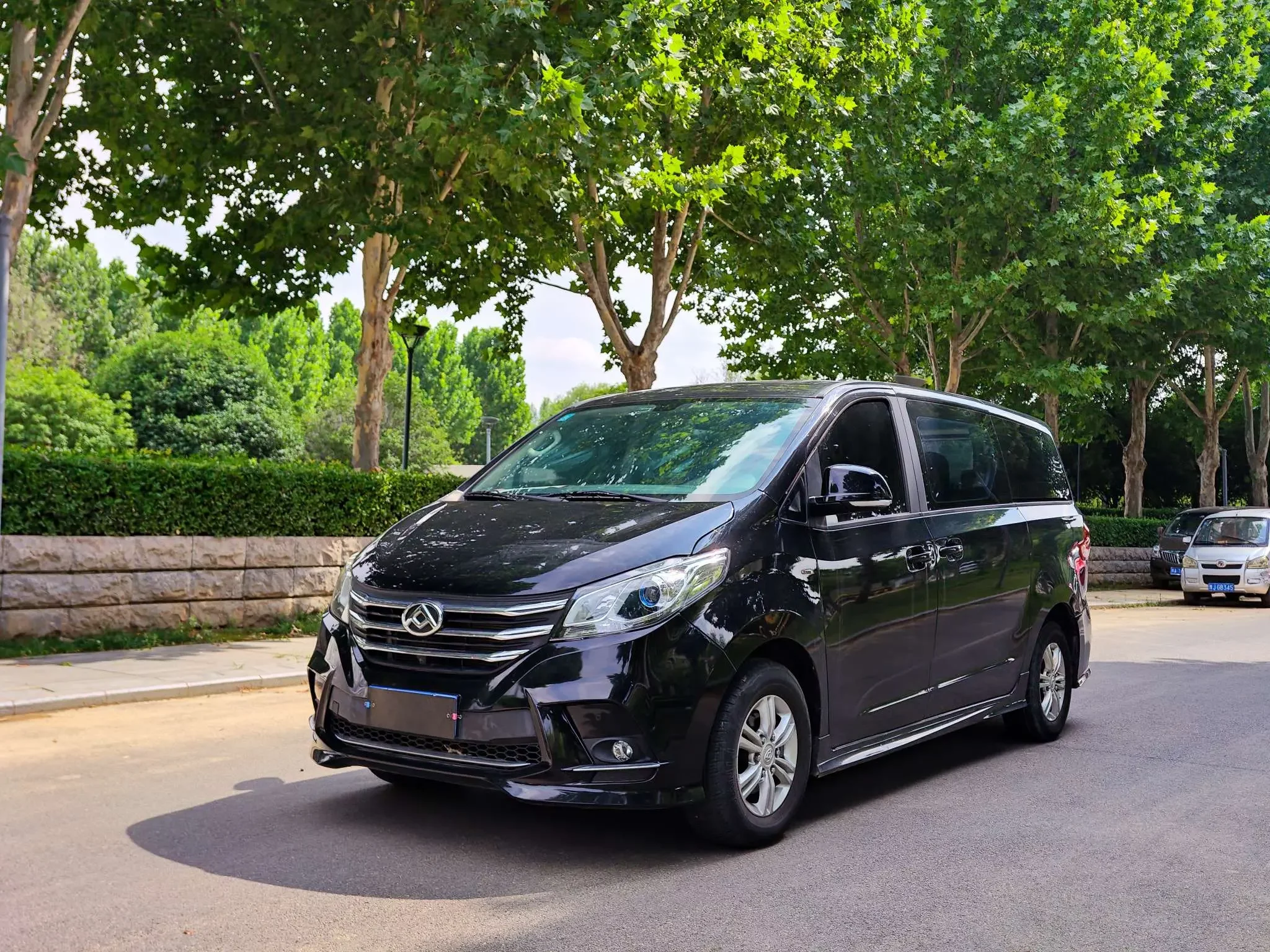 Datong Maxus G10