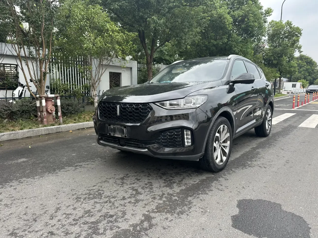 Wey Wei brand VV6