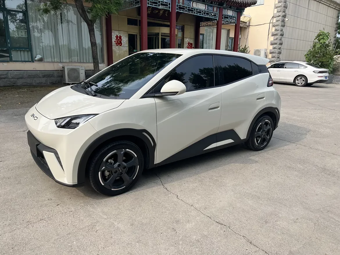 BYD seagull
