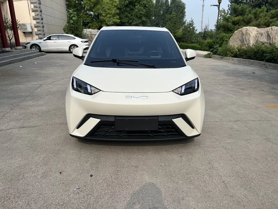 BYD seagull
