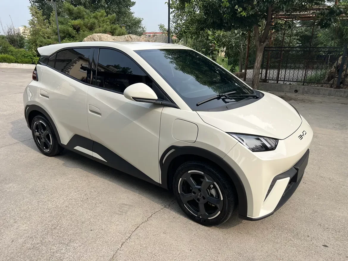 BYD seagull