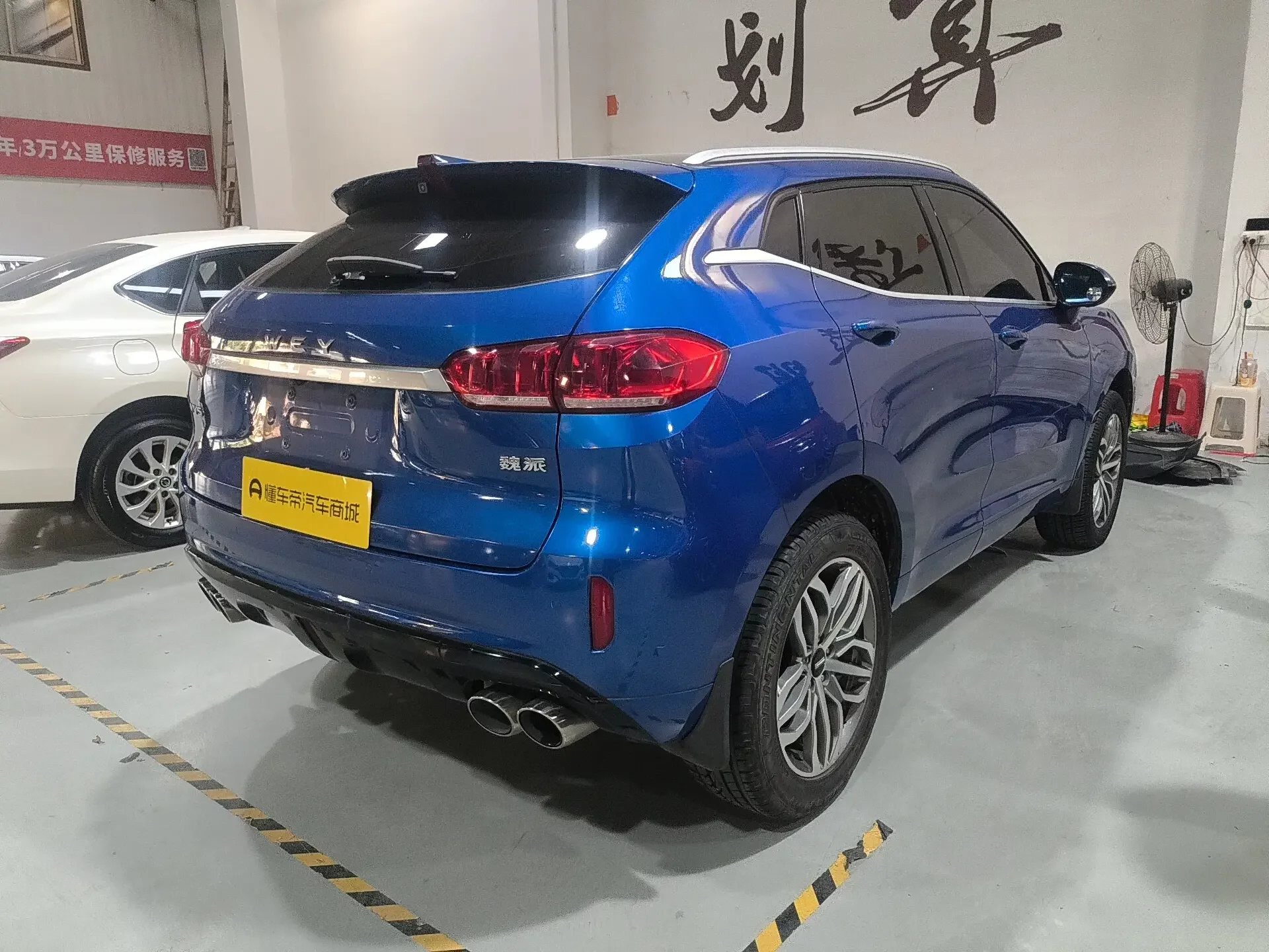 Wey Wei brand VV5