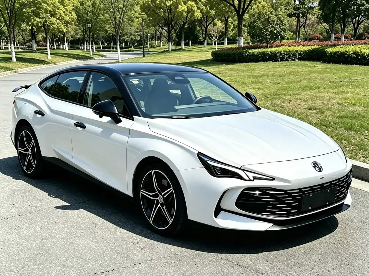 MG 7