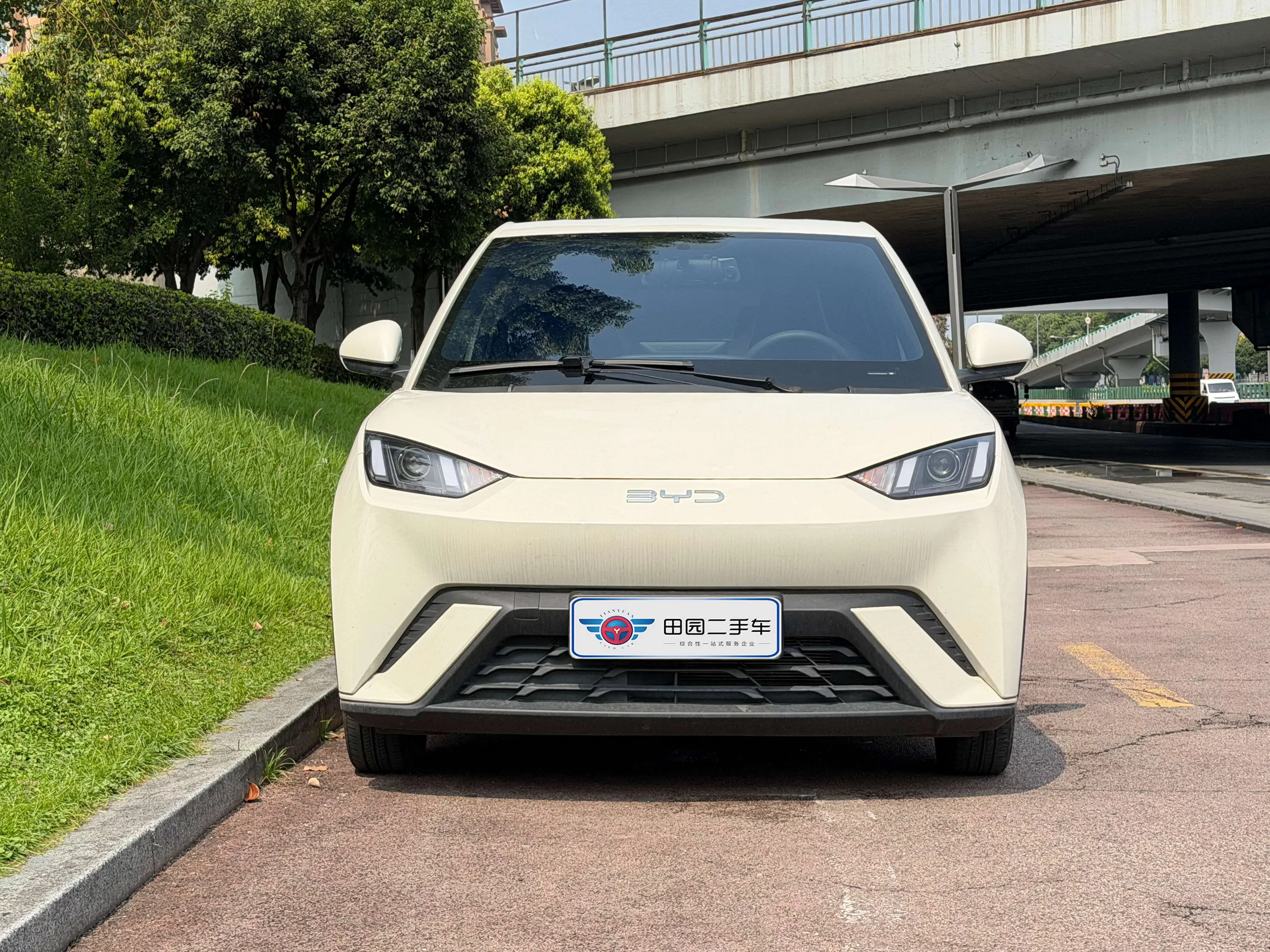 BYD seagull
