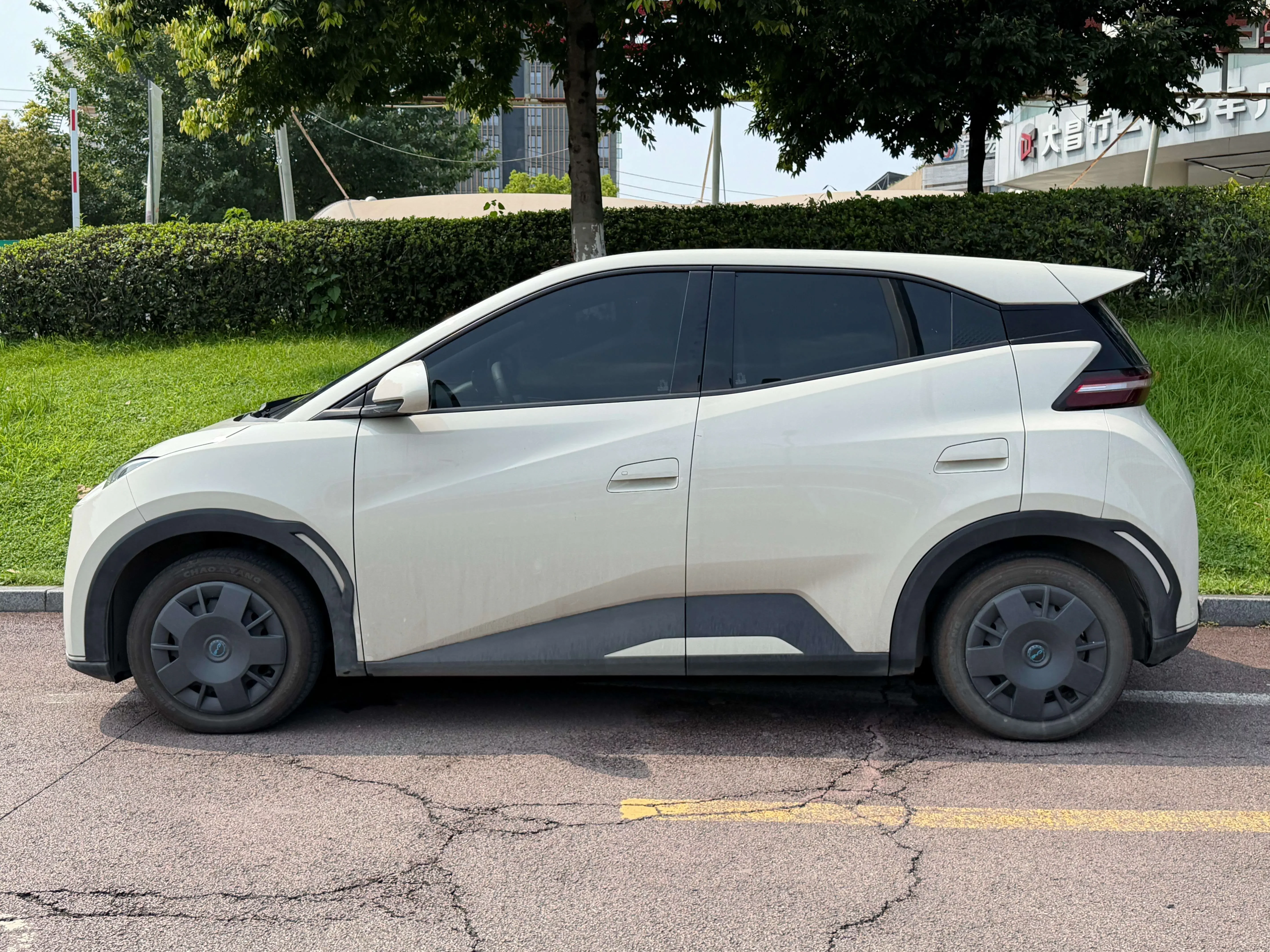 BYD seagull