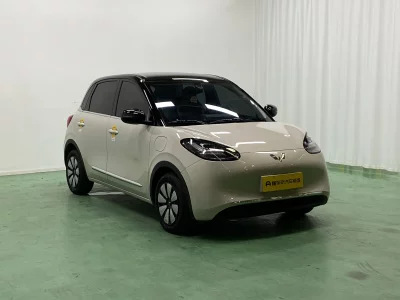 Wuling Bingo