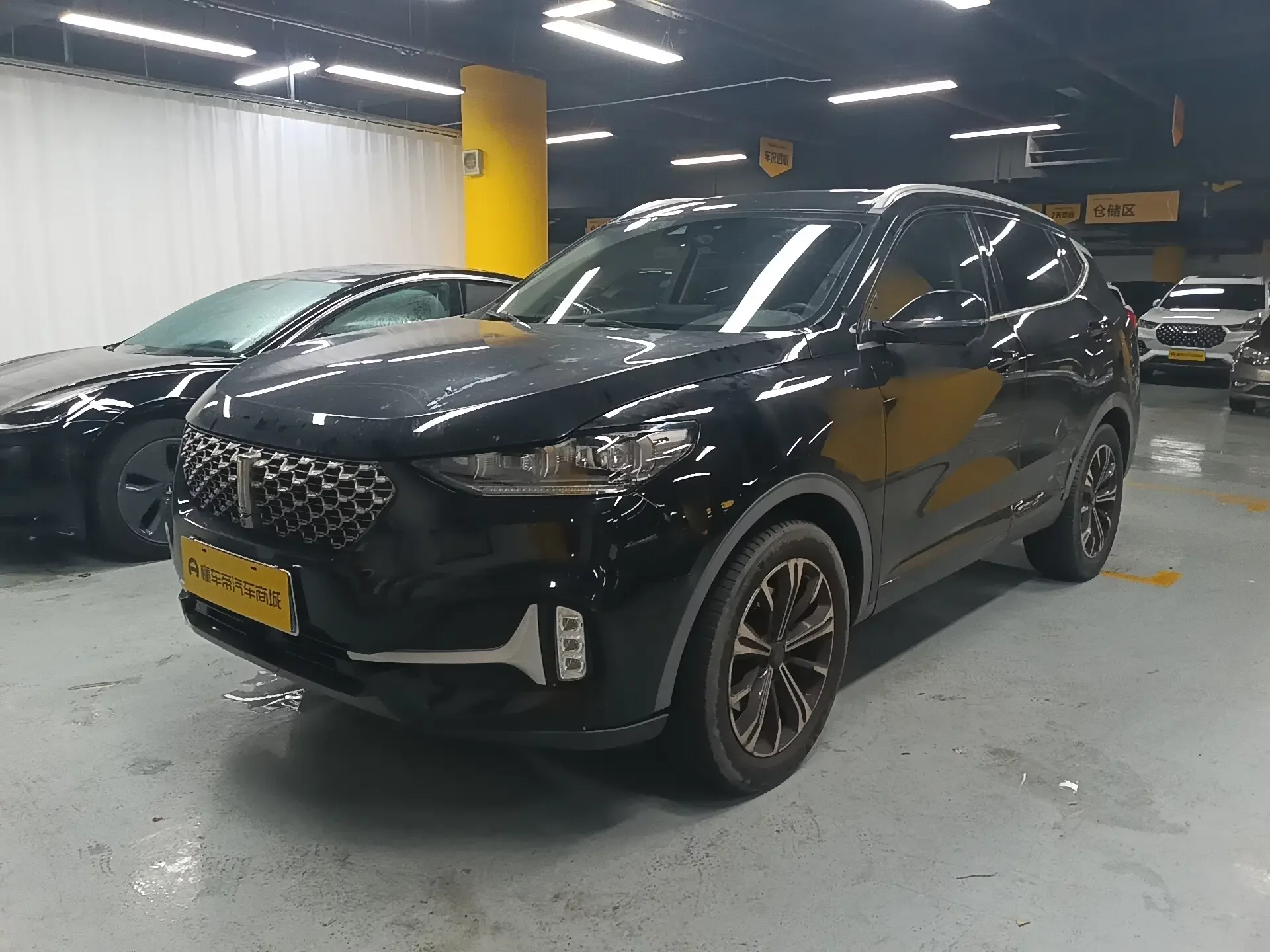 Wey Wei brand VV6