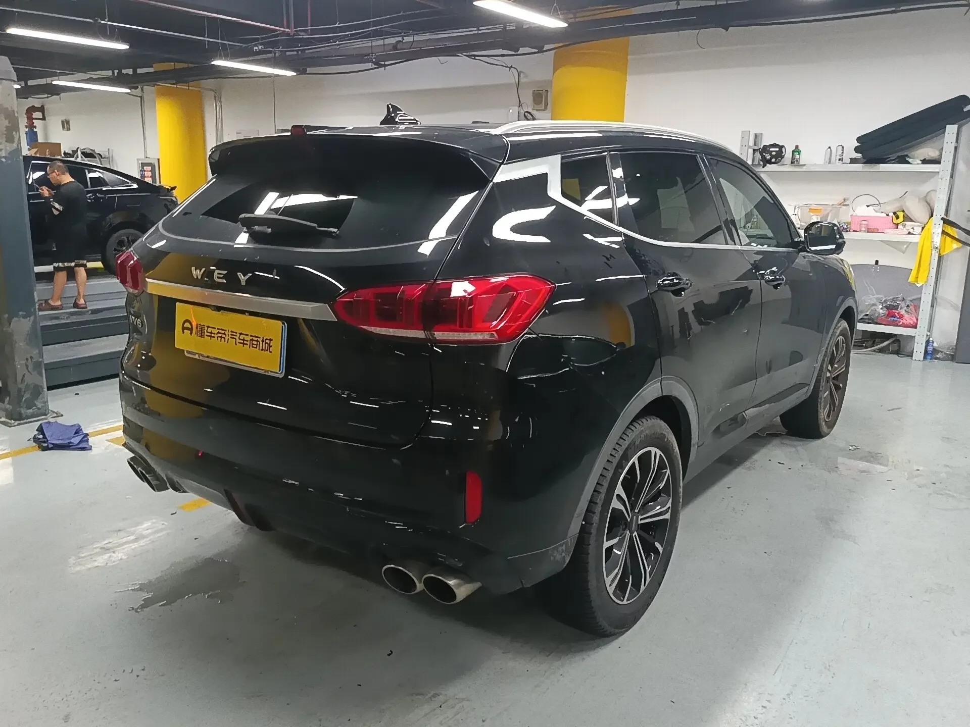 Wey Wei brand VV6