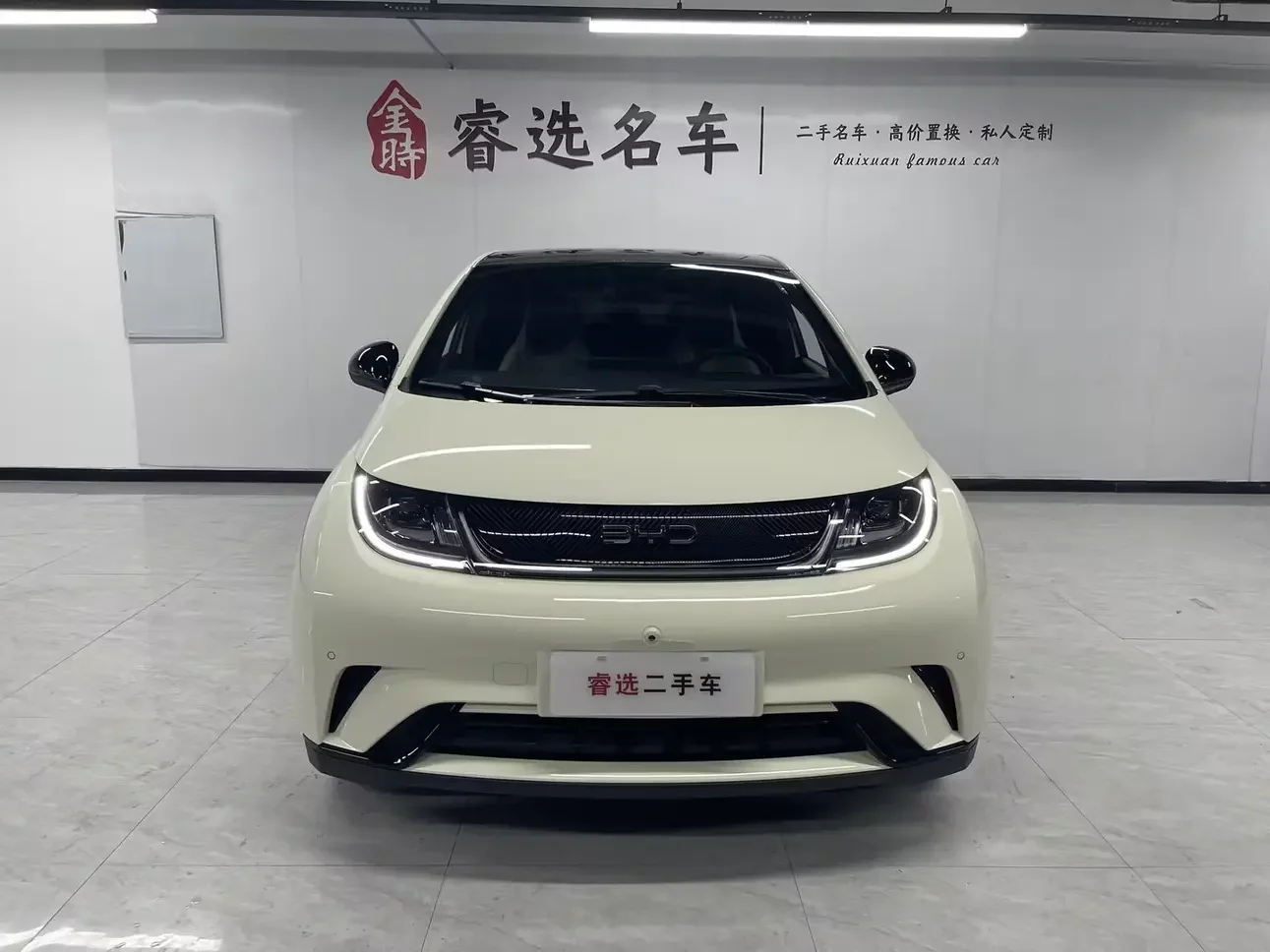 BYD dolphin