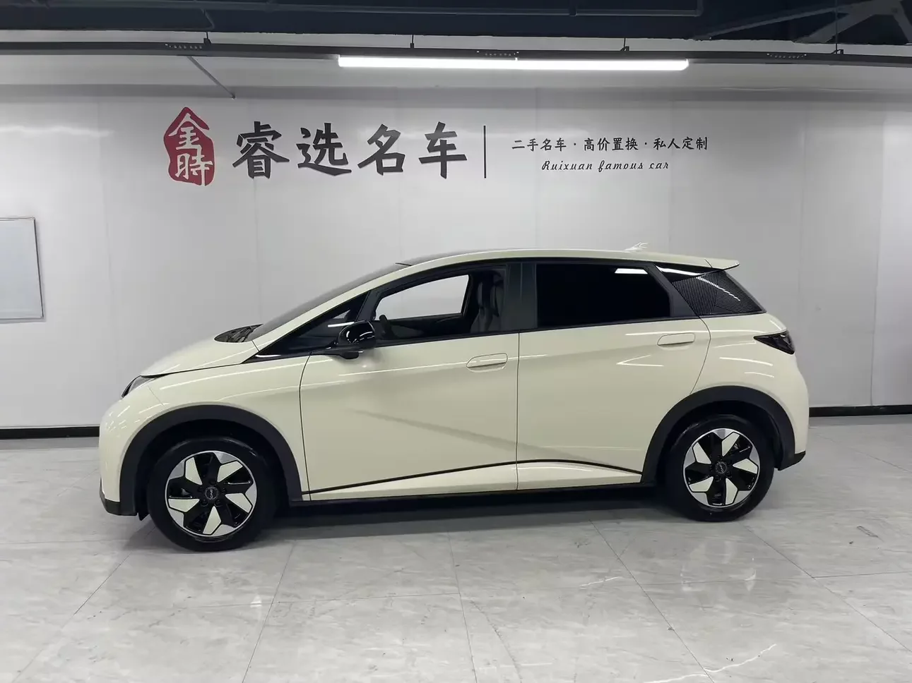 BYD dolphin