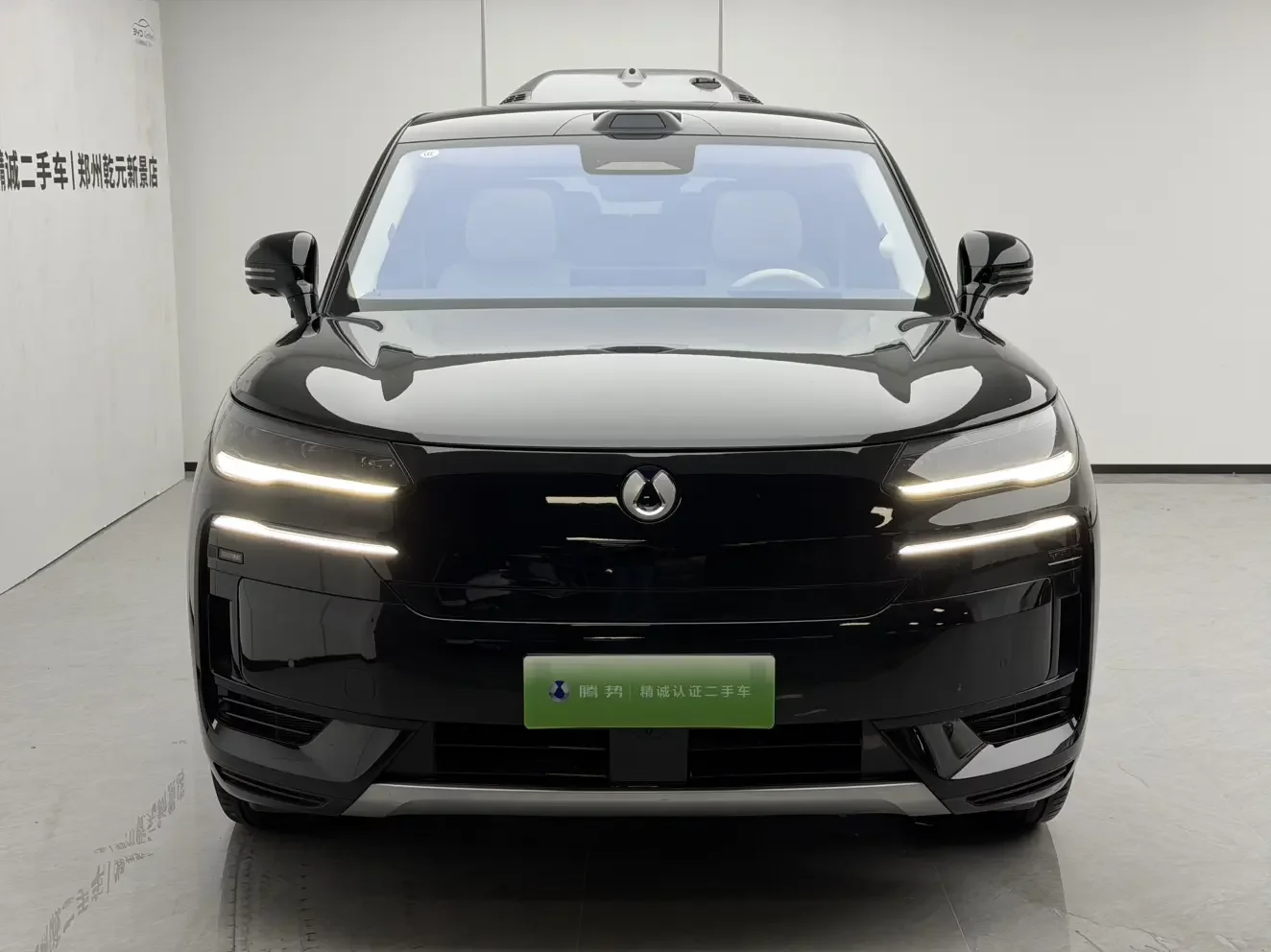 Denza Tengzhong N9 DM
