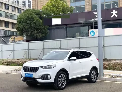 Wey Wei brand VV6