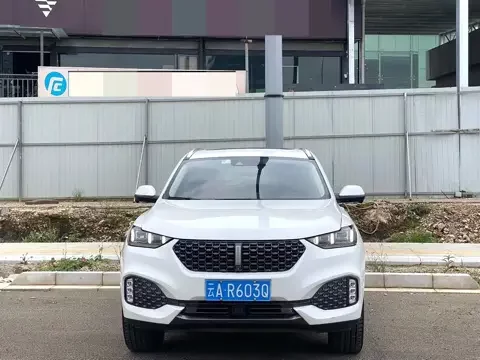 Wey Wei brand VV6