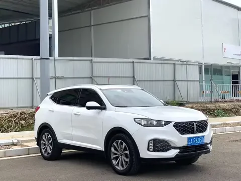 Wey Wei brand VV6