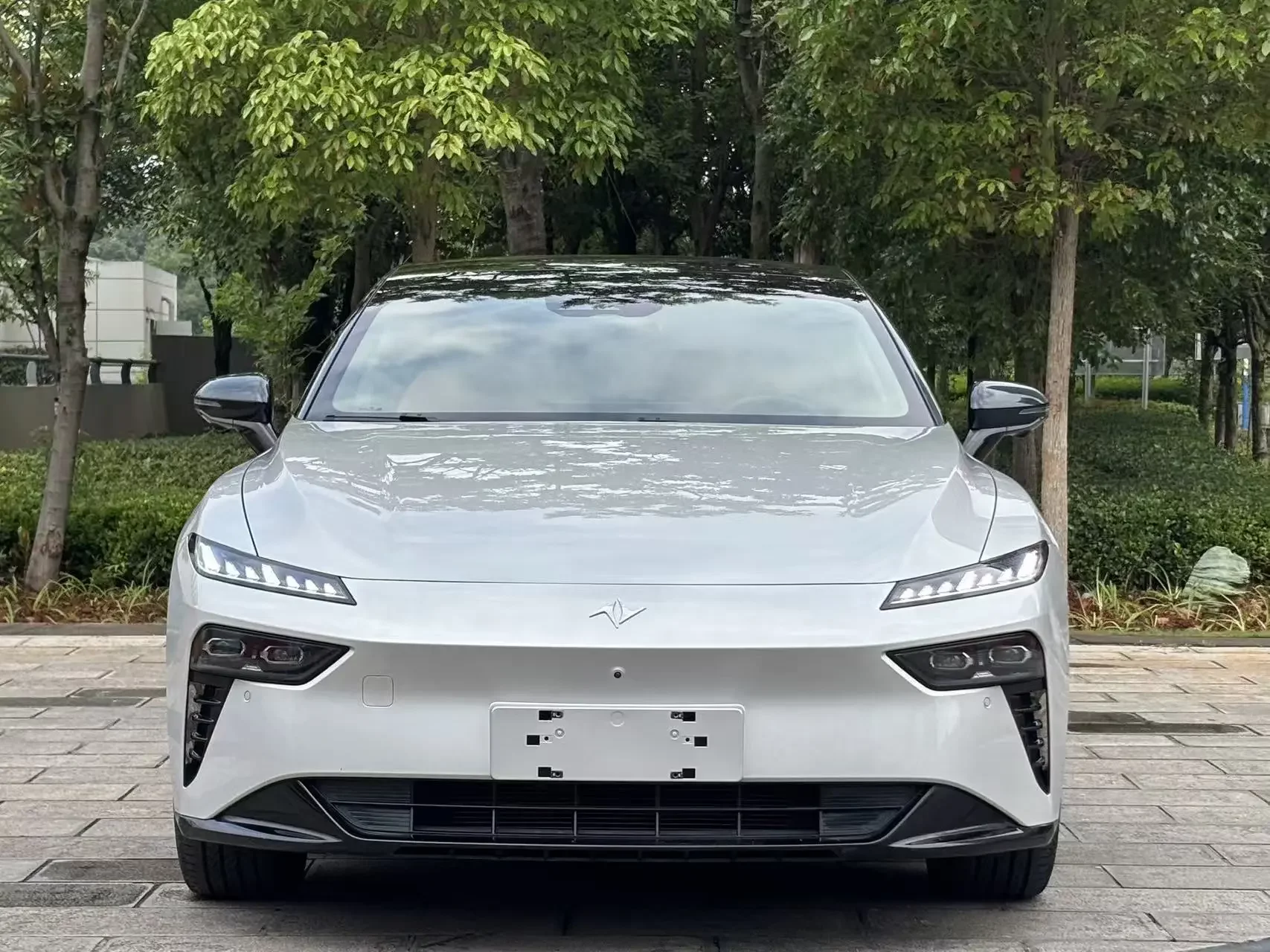 Dongfeng Yipai 007