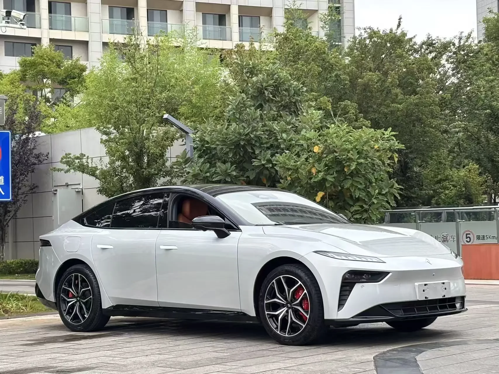 Dongfeng Yipai 007