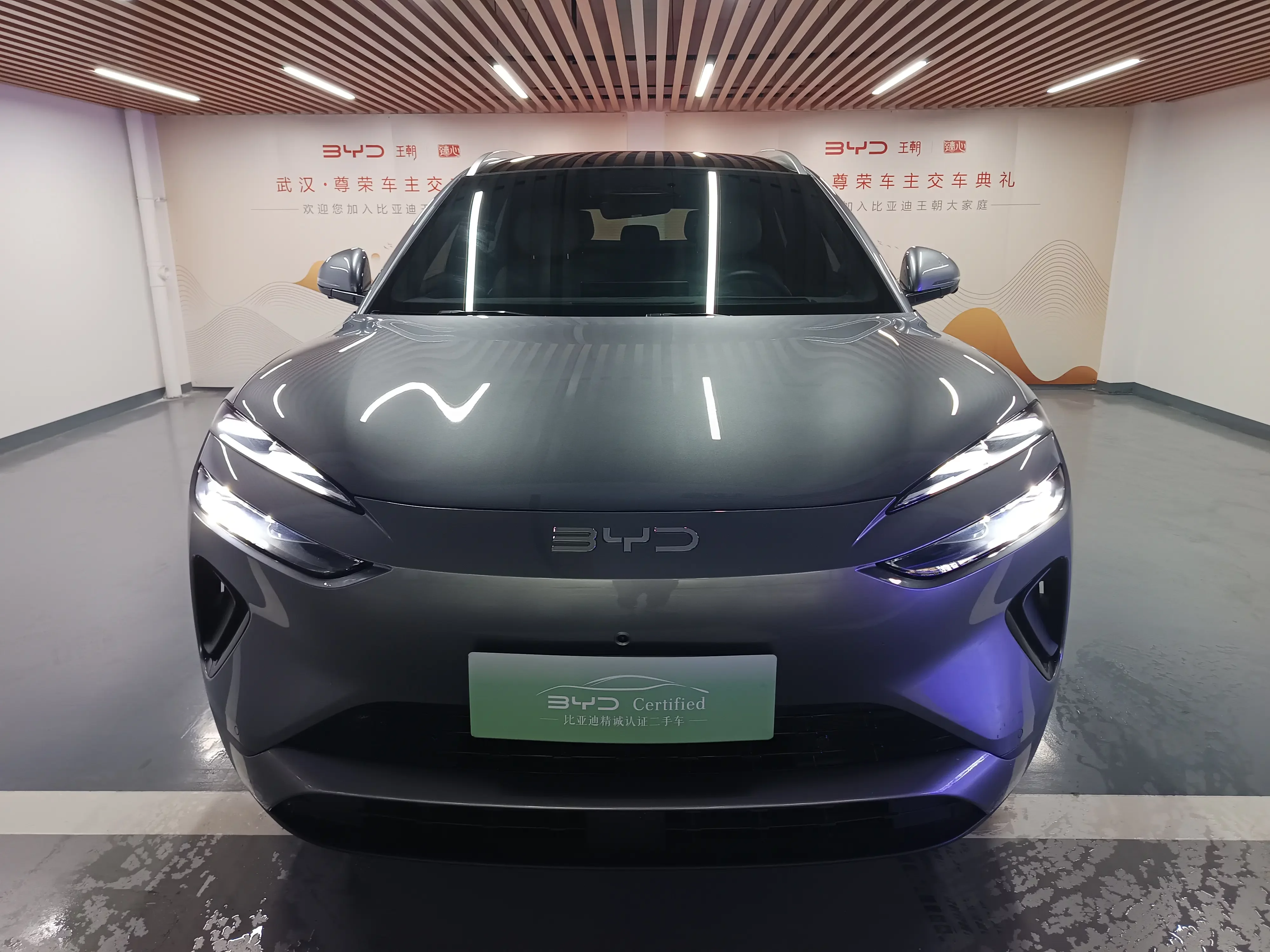 BYD Sea Lion 06DM