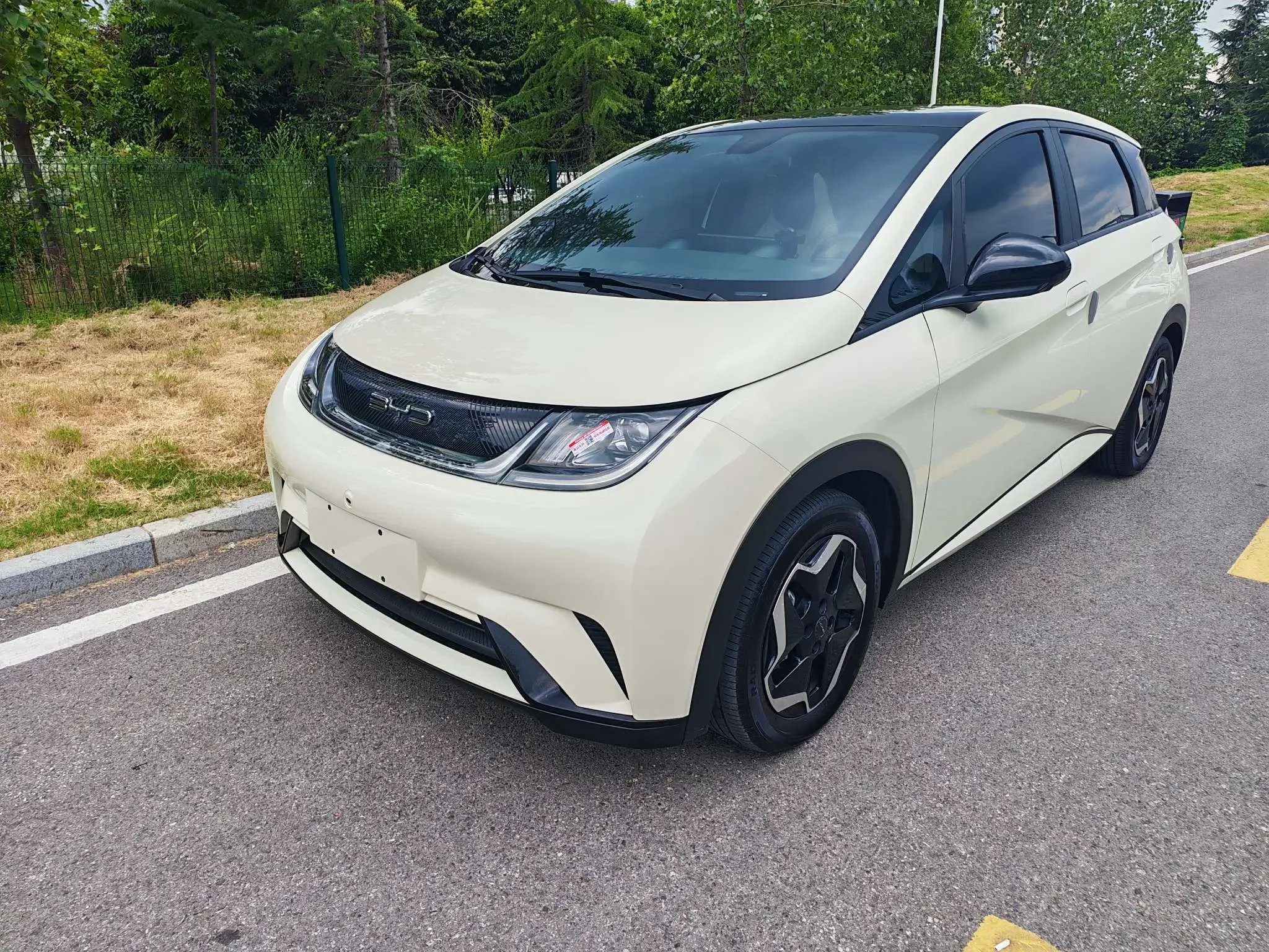 BYD dolphin