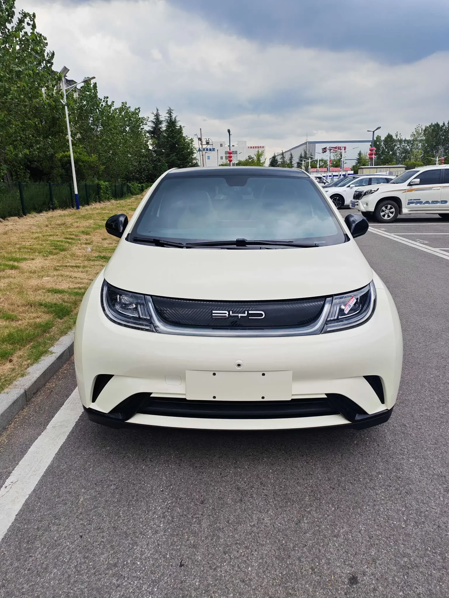 BYD dolphin