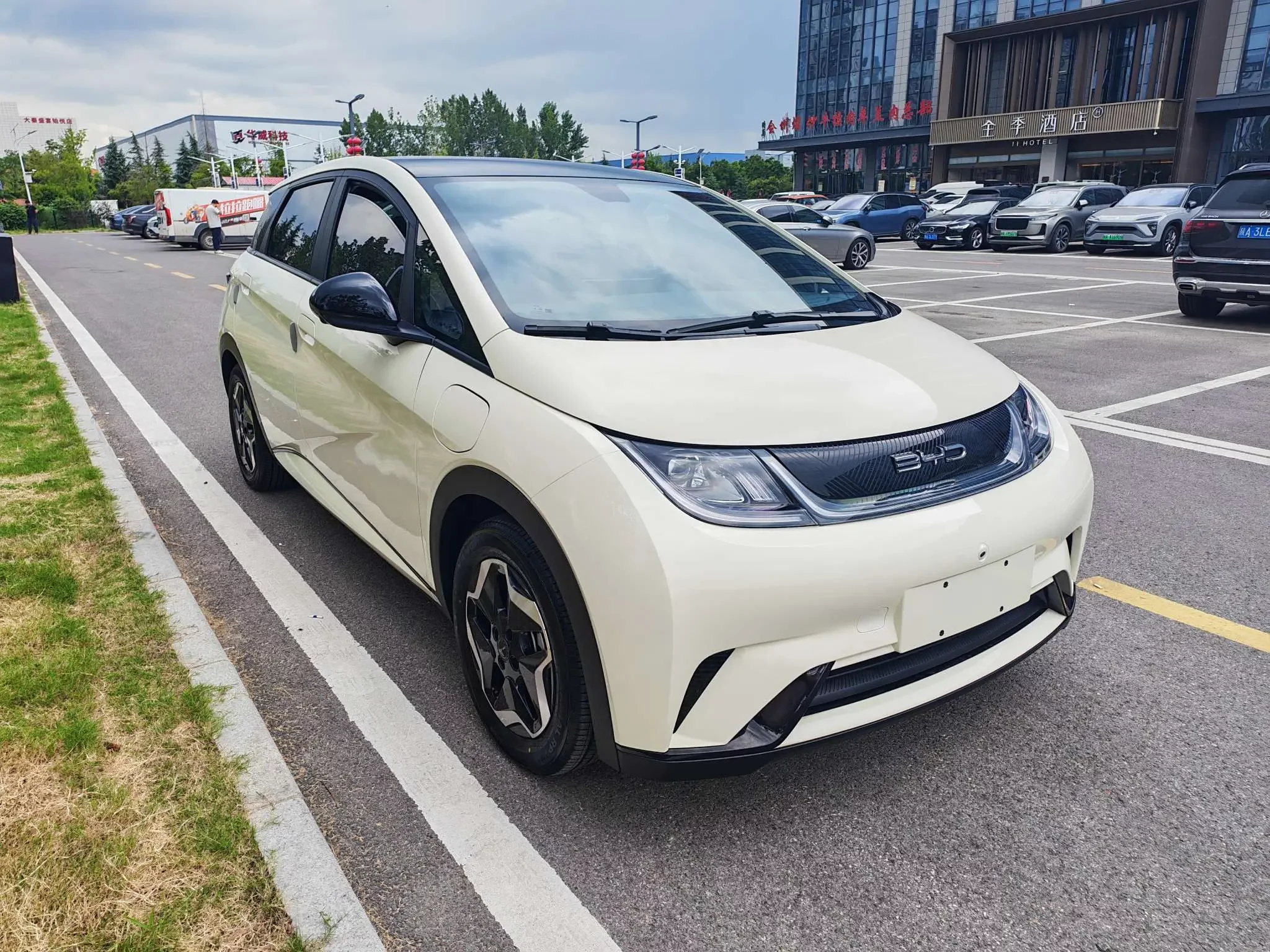 BYD dolphin