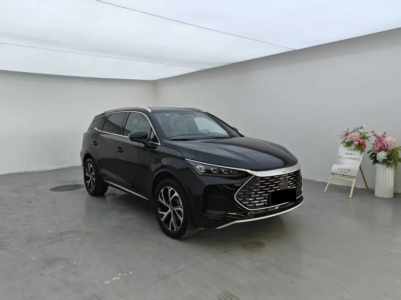BYD Tang DM