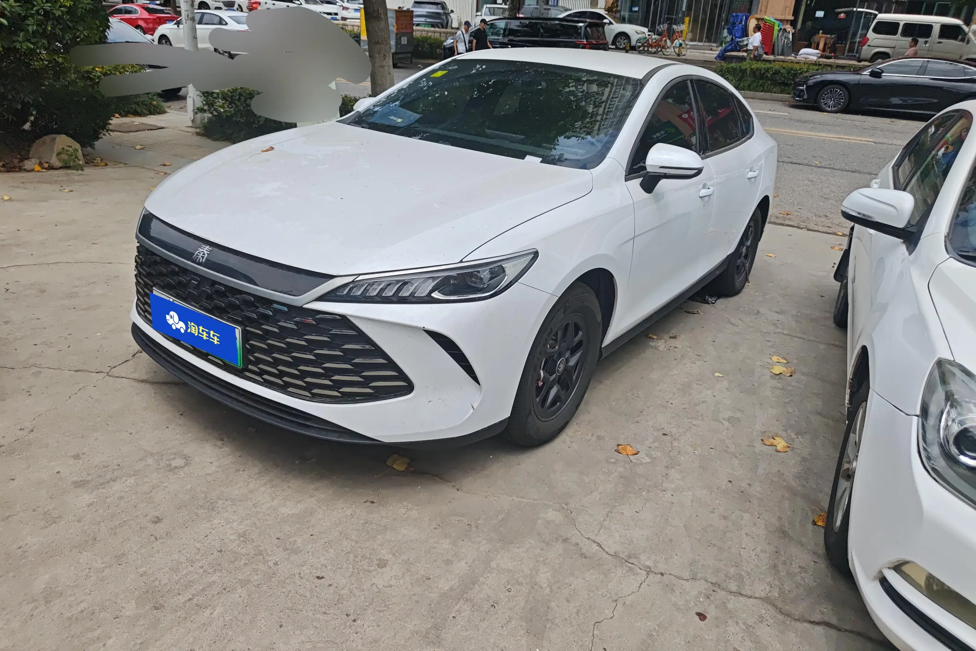 BYD Qin PLUS DM