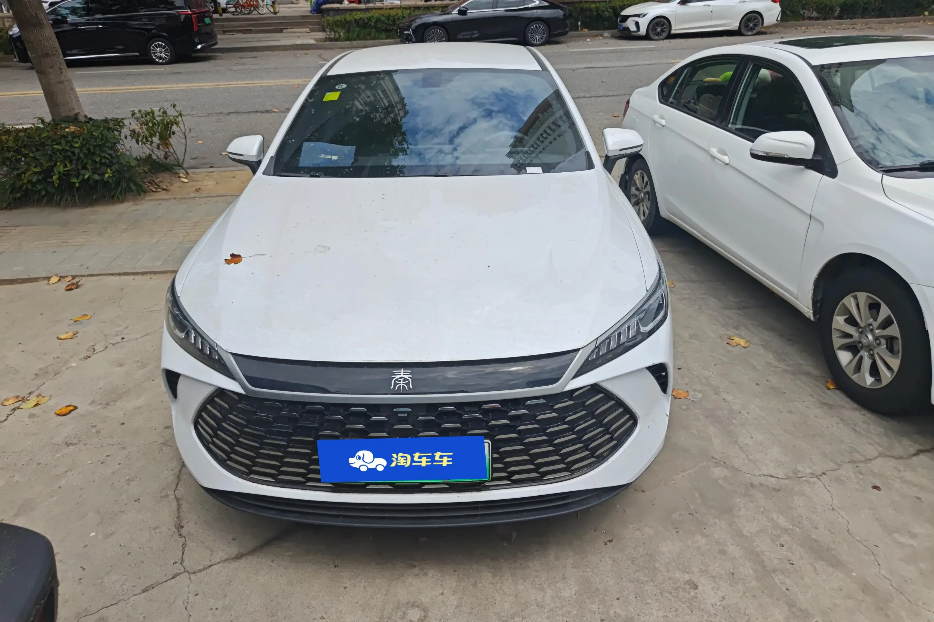 BYD Qin PLUS DM