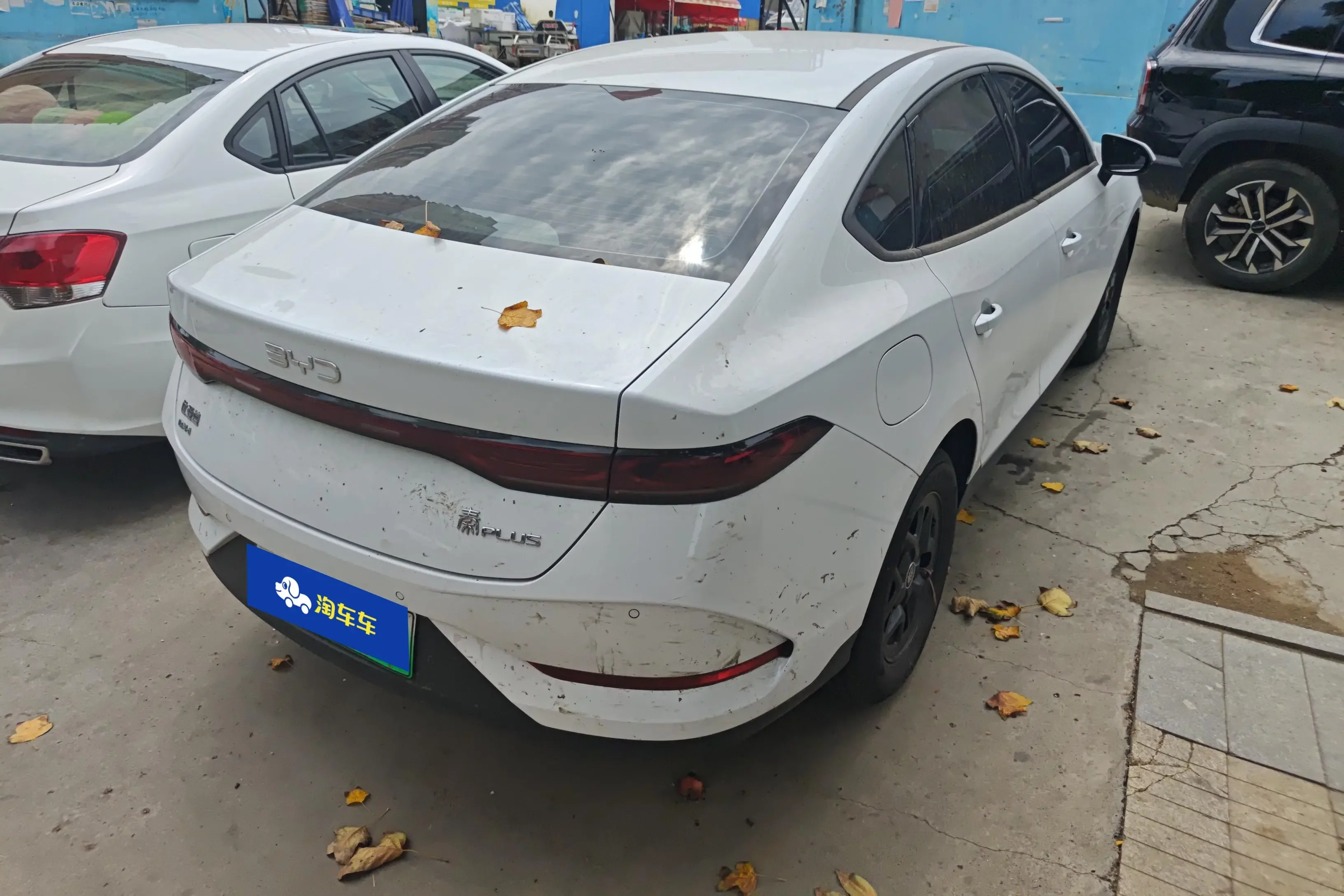 BYD Qin PLUS DM