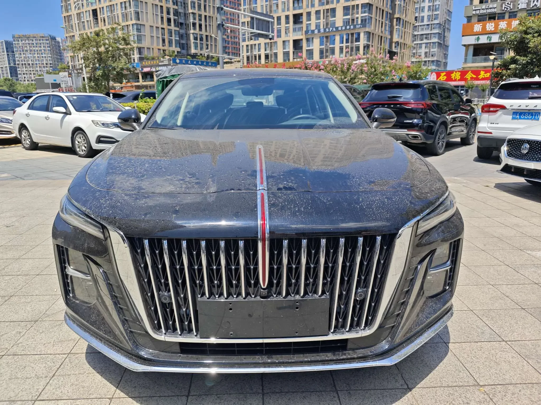 Hongqi H5