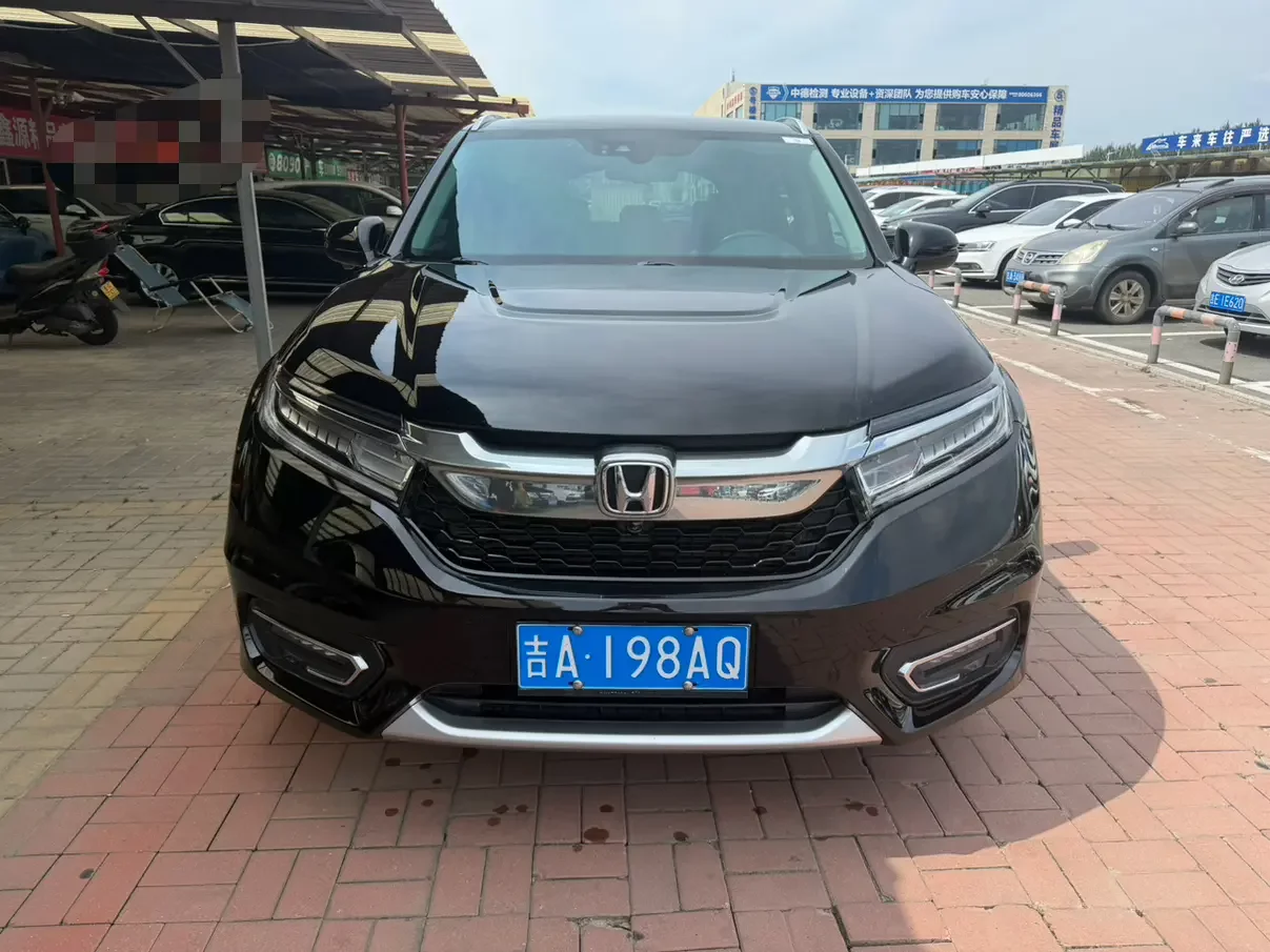 Honda Avancier (Crown Road)