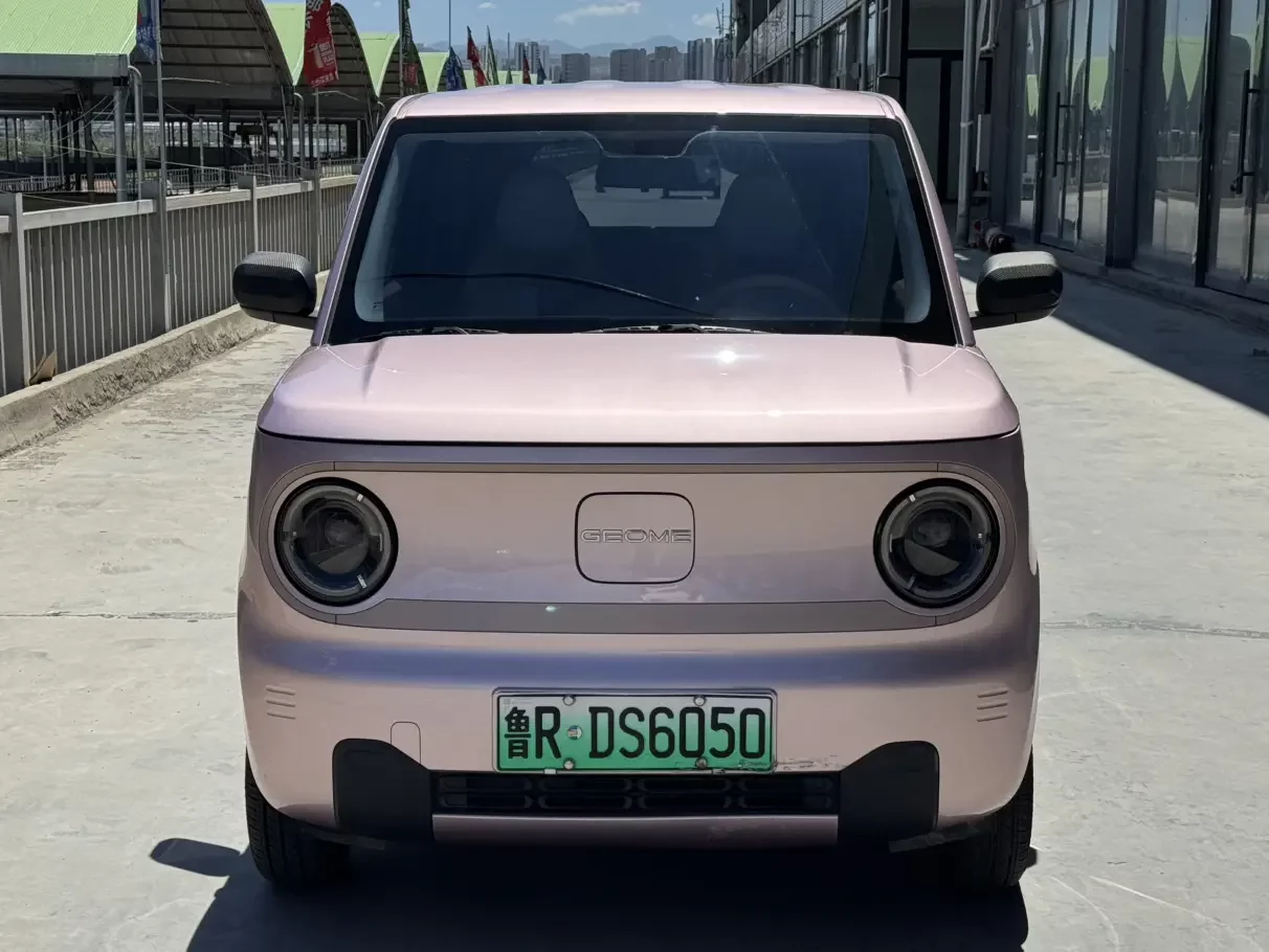 Geely panda