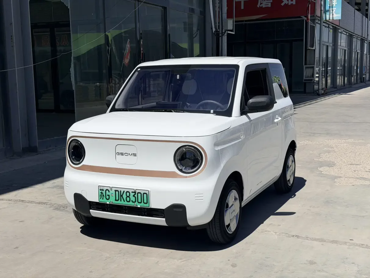 Geely panda