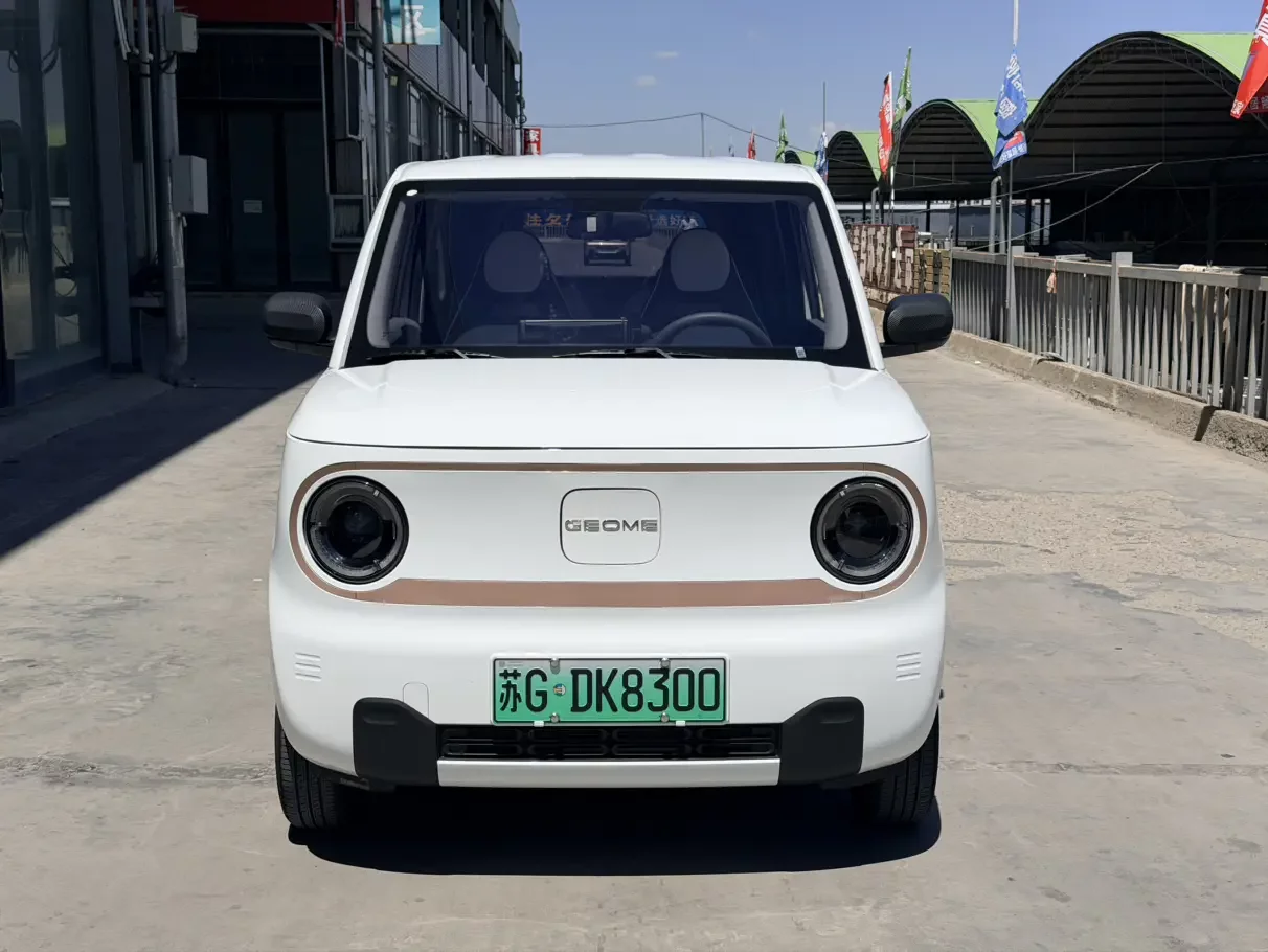 Geely panda