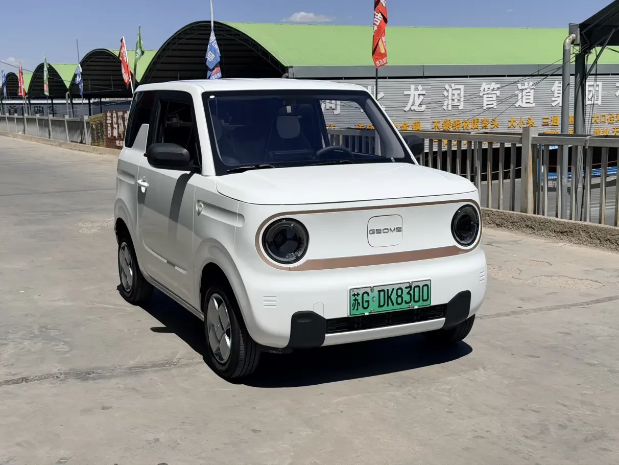 Geely panda