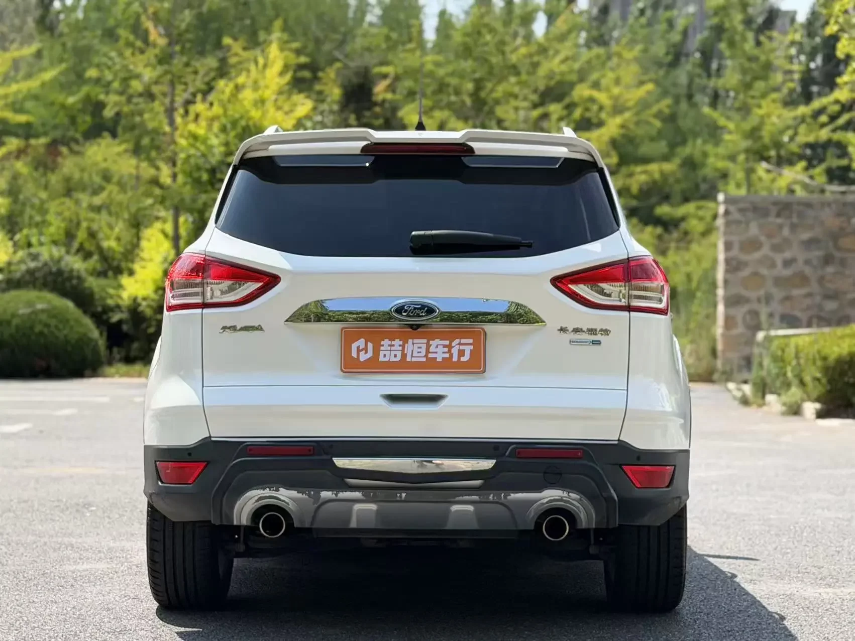 Ford wing tiger