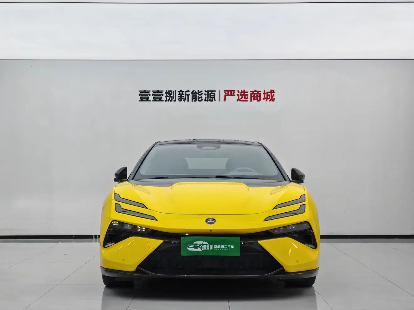 Lotus Emeya