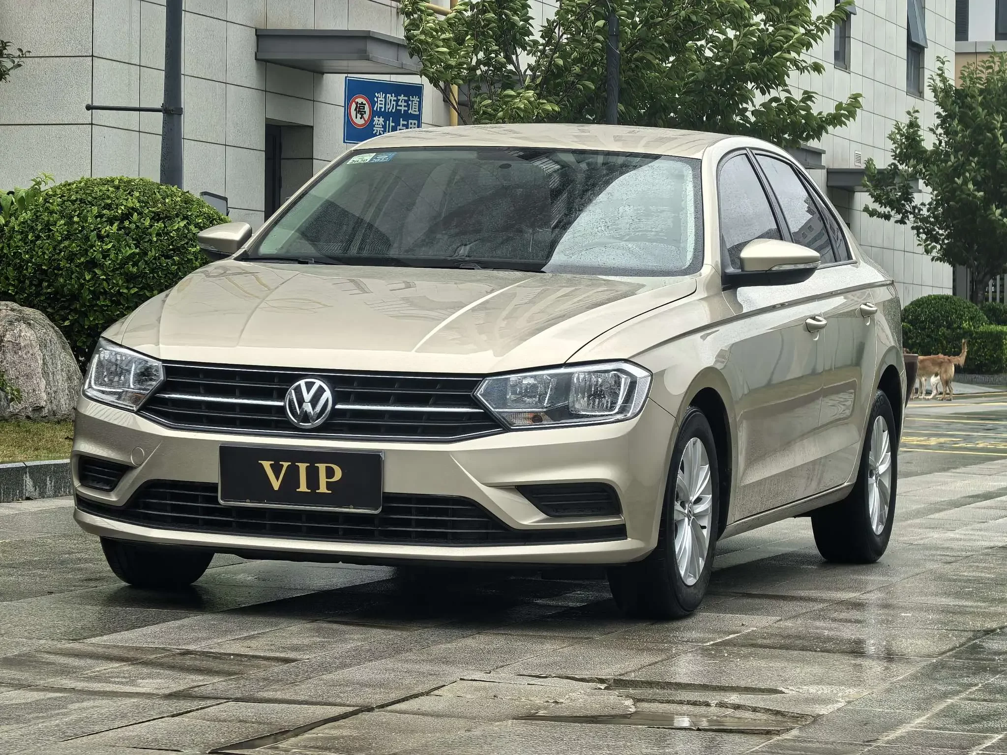 Volkswagen Bora