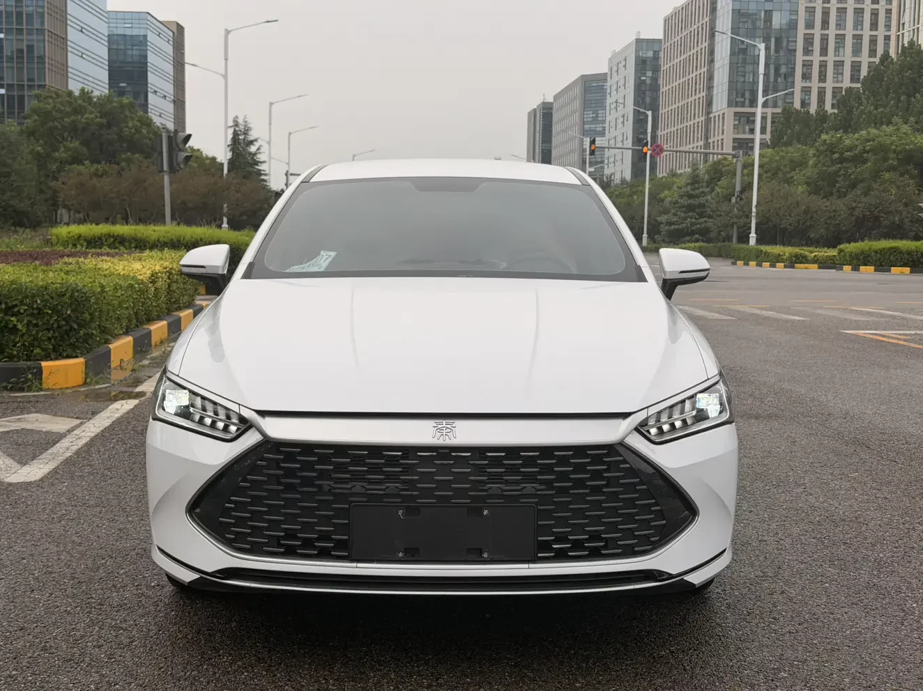 BYD Qin PLUS DM